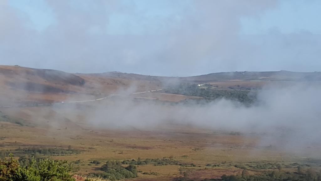 Sur La Route Des Myrtilles Gouézec Rum bild